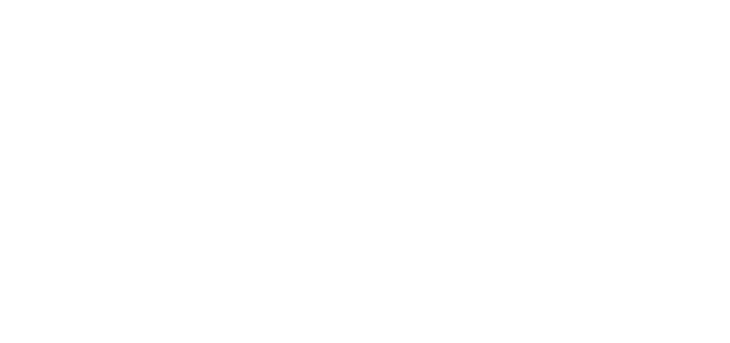 slide5_2